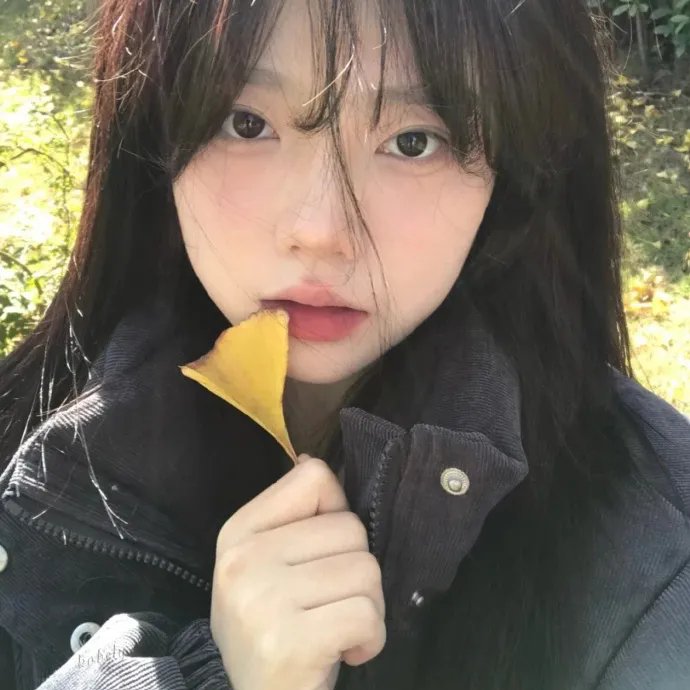 分手的决心